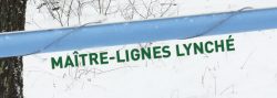 maitre-ligne-lynche