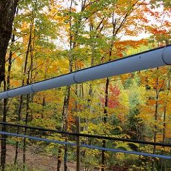 Maître-ligne et maître-ligne lynché CDL low density mainlines