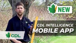 CDL Intelligence Mobile App